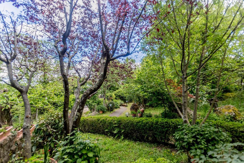 Il Boschetto Di Castagni Bed & Breakfast Soriano nel Cimino Luaran gambar